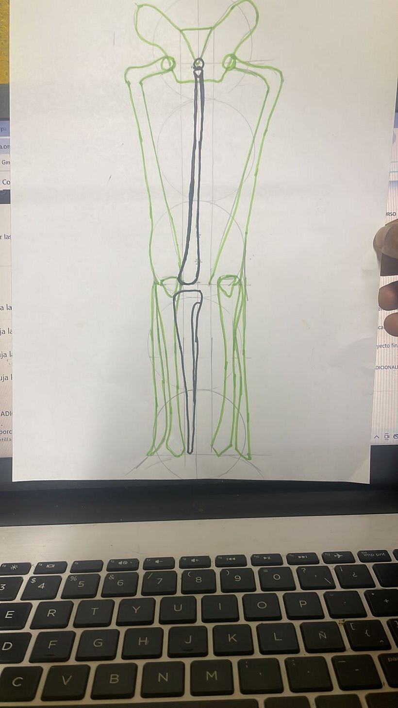 Mi proyecto del curso: Dibujo anatómico para principiantes 11