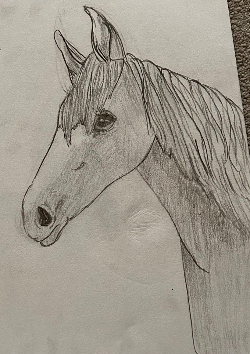 Previous pencil drawings & sketches  3
