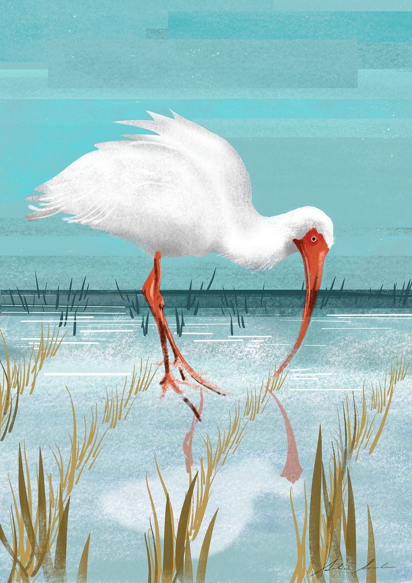 Mi proyecto del curso: Ilustración digital de temáticas con Procreate 6