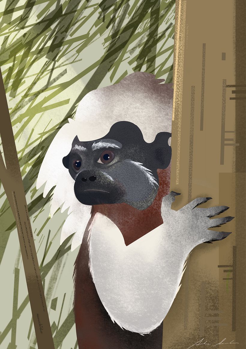 Mi proyecto del curso: Ilustración digital de temáticas con Procreate 9