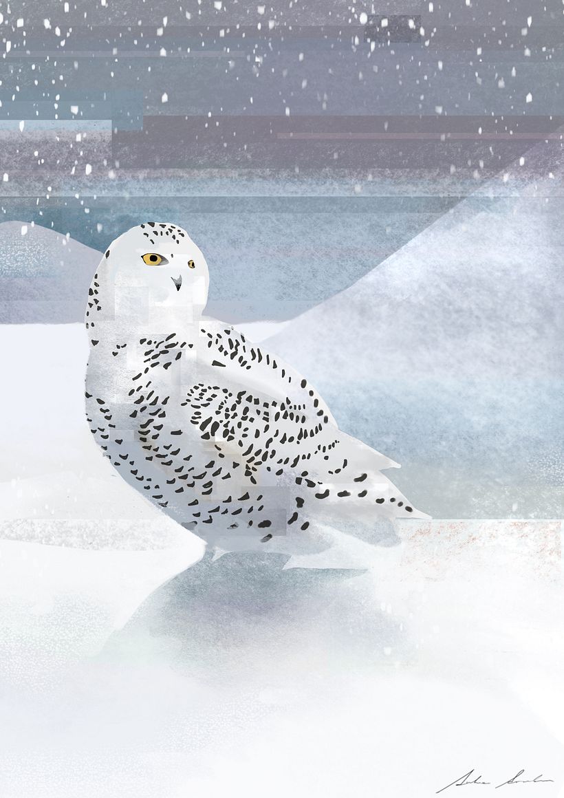 Mi proyecto del curso: Ilustración digital de temáticas con Procreate 11