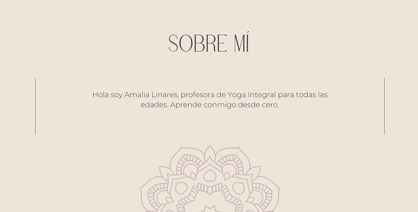 INICIO