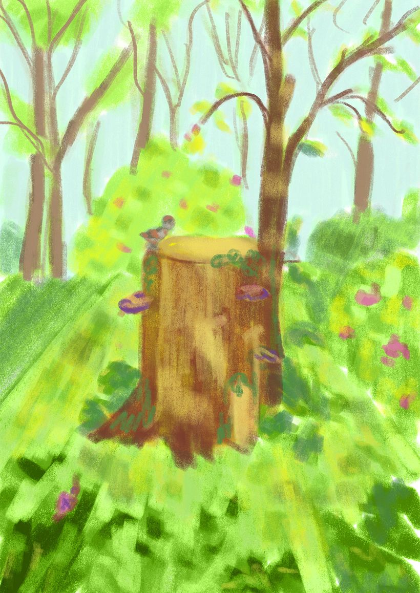 The color sketch
