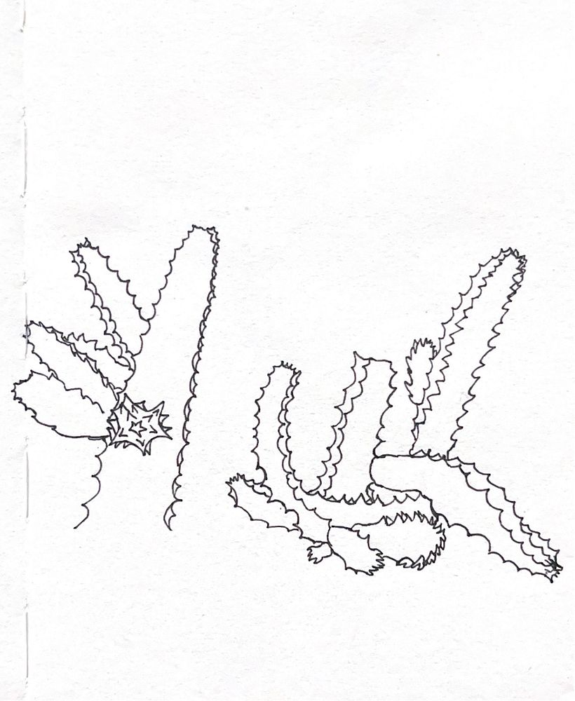 My project for course: Botanical Sketchbooking: A Meditative Approach 1