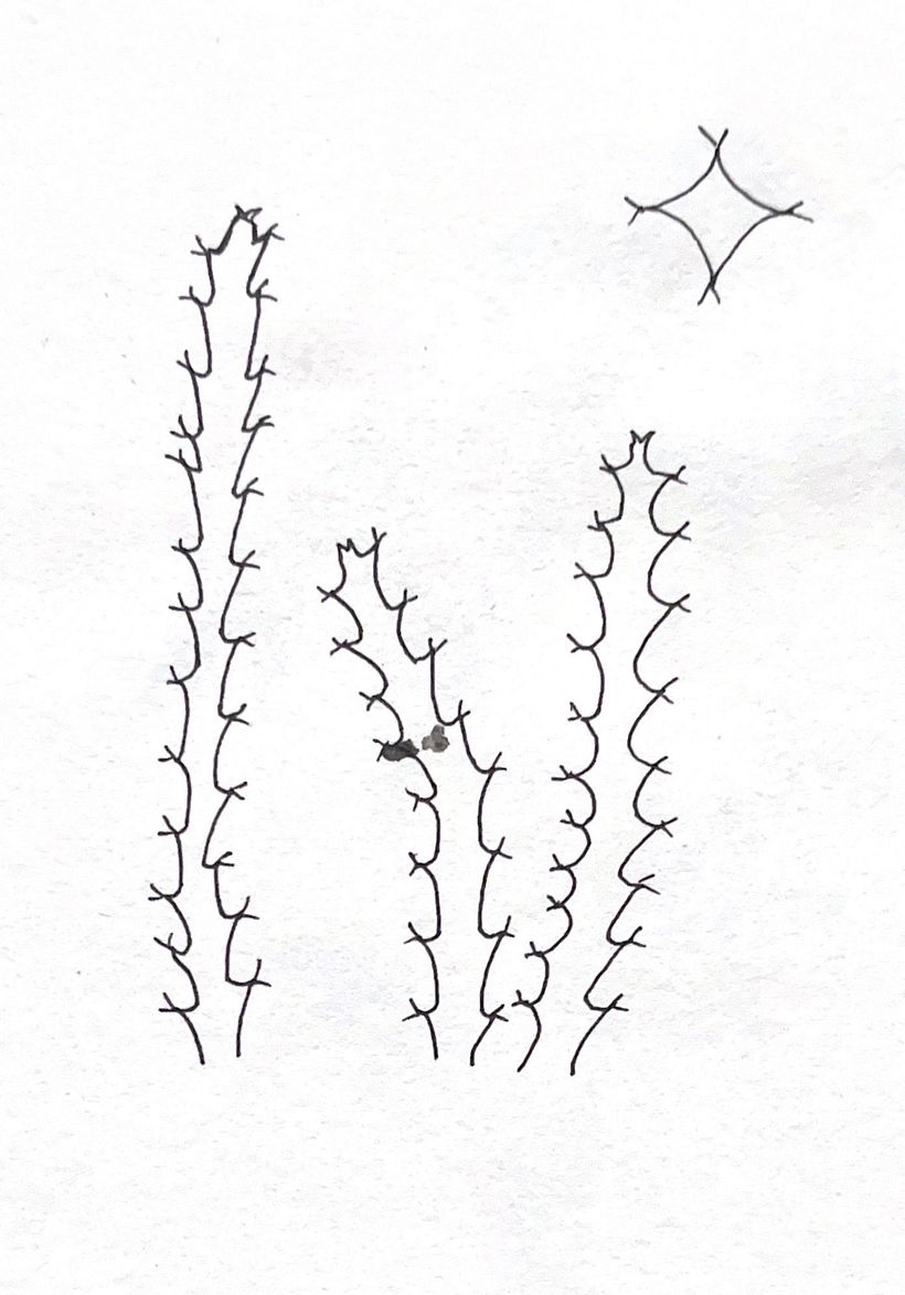 My project for course: Botanical Sketchbooking: A Meditative Approach 2