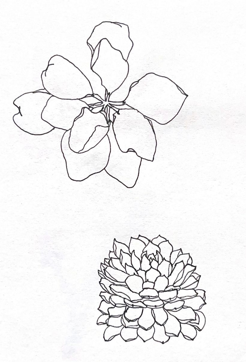 My project for course: Botanical Sketchbooking: A Meditative Approach 3
