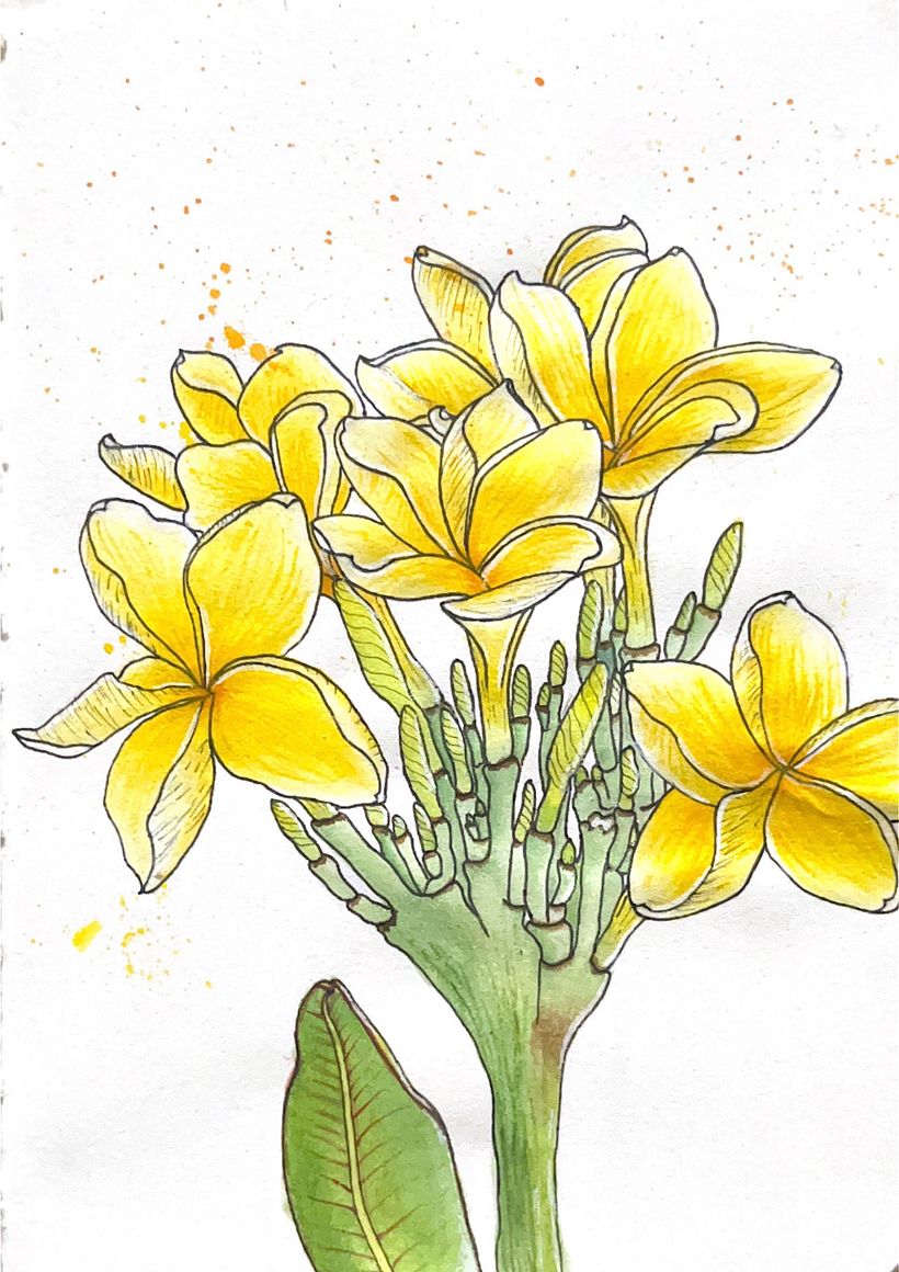 My project for course: Botanical Sketchbooking: A Meditative Approach 4