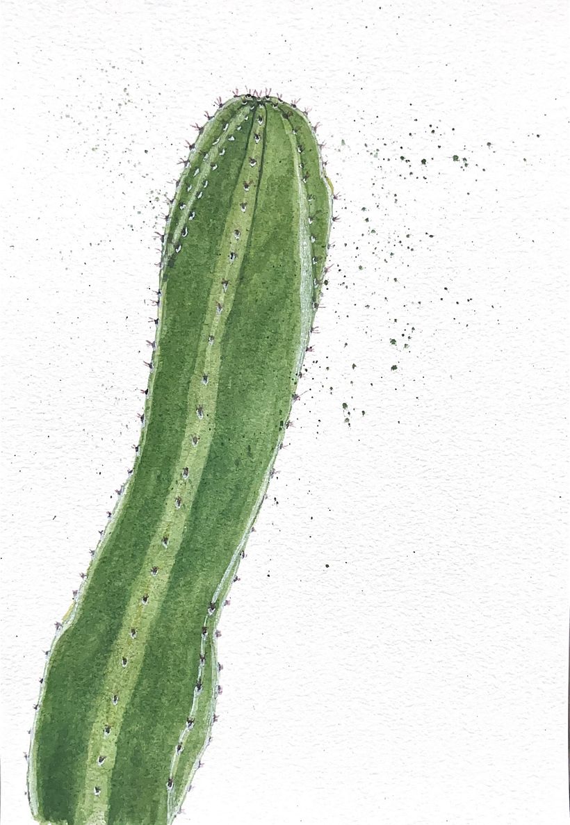 My project for course: Botanical Sketchbooking: A Meditative Approach 6