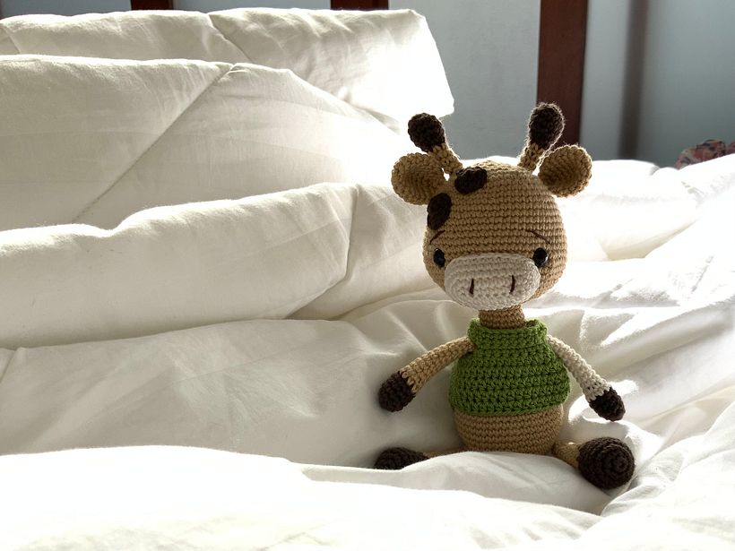 My project for course: Crocheting Amigurumi Animals for Beginners - Artesanía