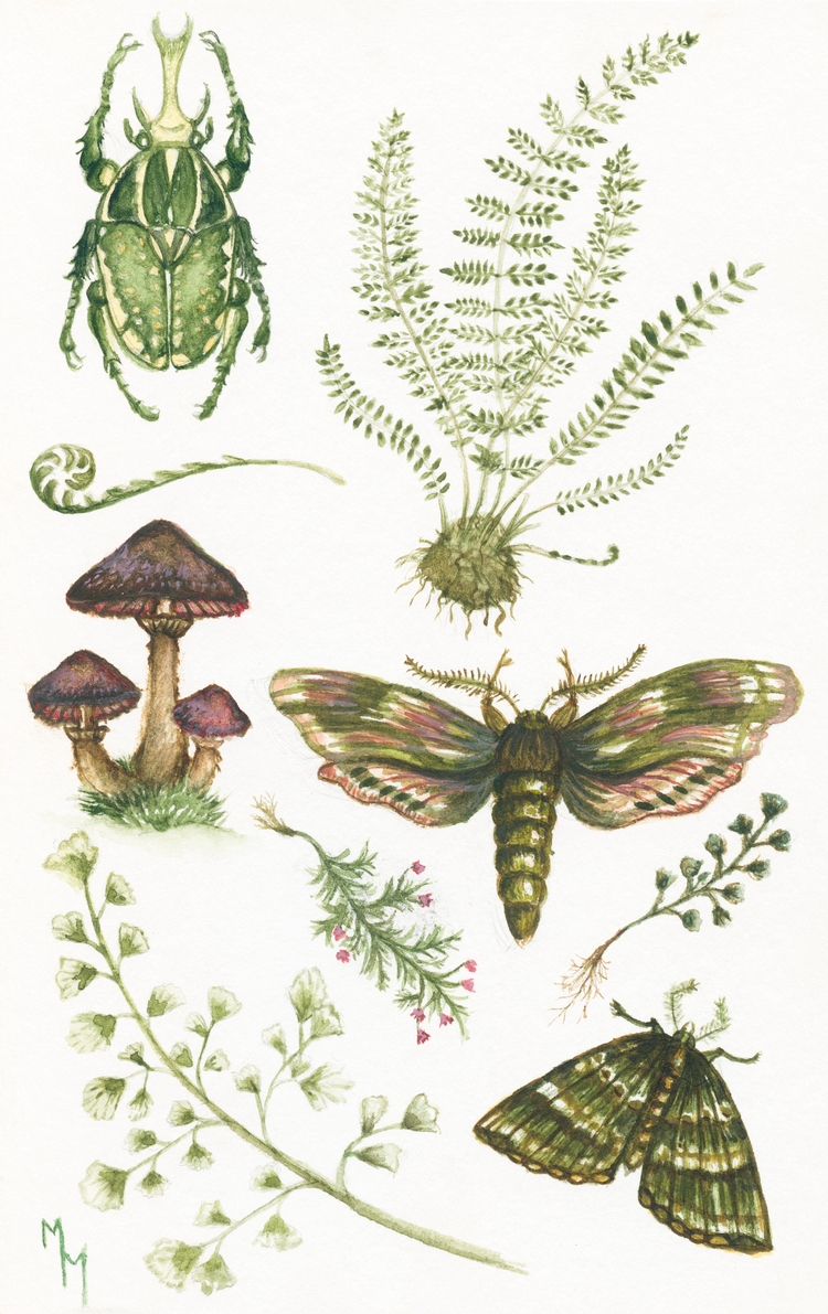 Minha primeira composição com a natureza - aquarela 1