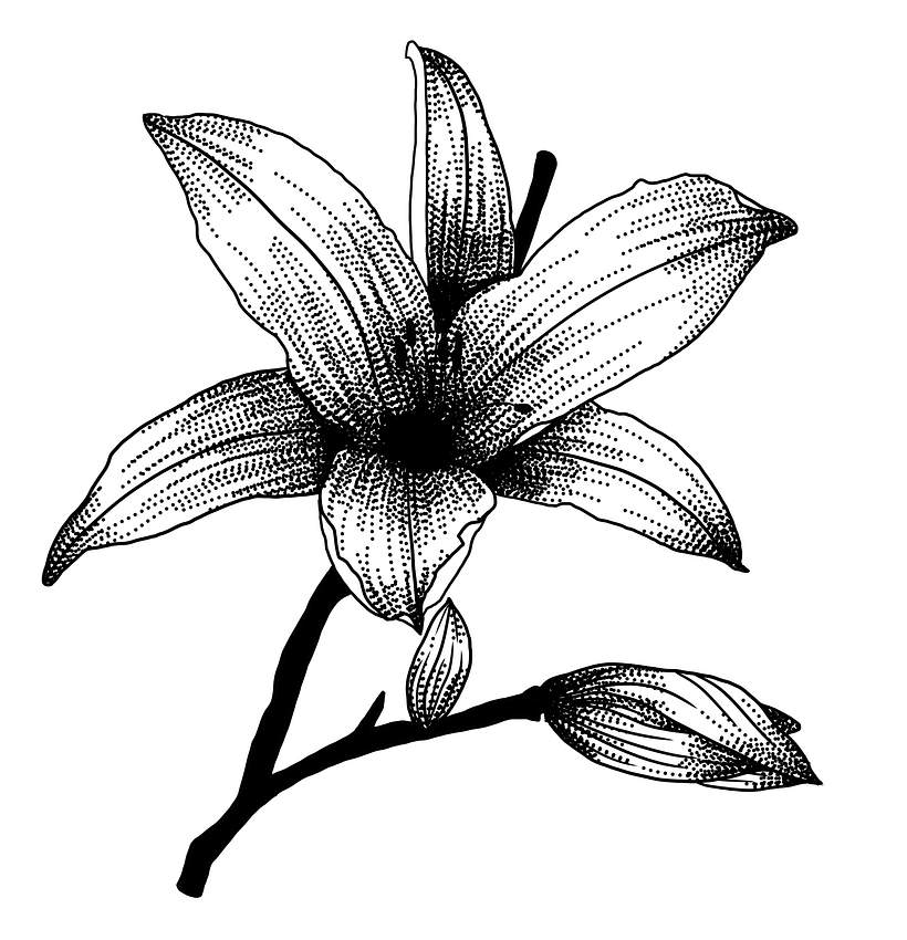 Mój projekt z kursu: Projektowanie tatuaży w estetyce Blackwork 1