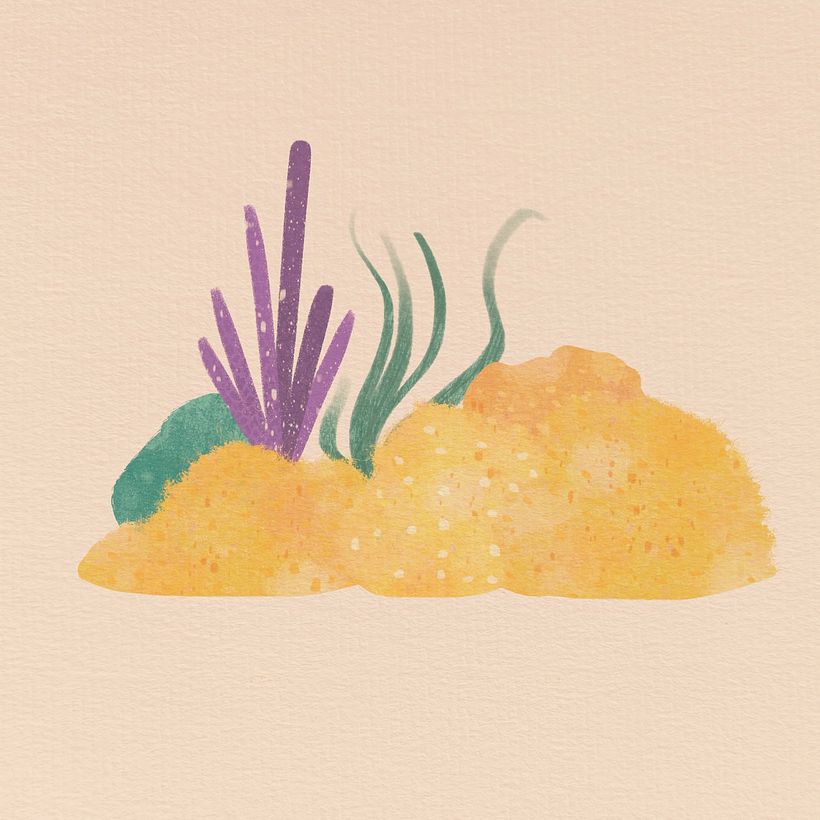 Bonaire dive spots 2