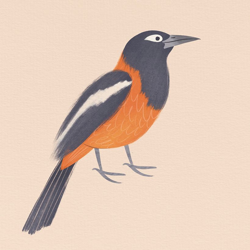 Bonaire dive spots 4