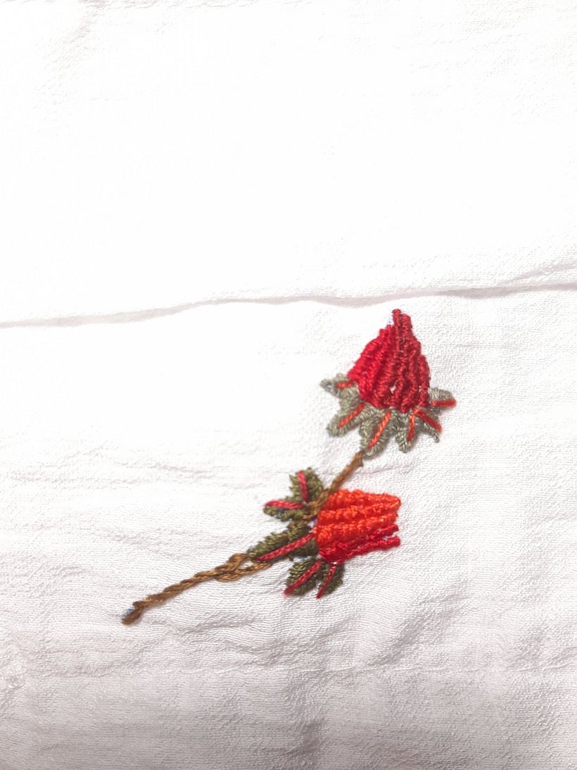 Il mio progetto del corso: Ricamo di pattern botanici per vestiti 5