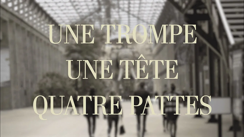 Mon projet du cours : Réalisation de documentaires cinématographiques Eléphant de Nantes en en français  1