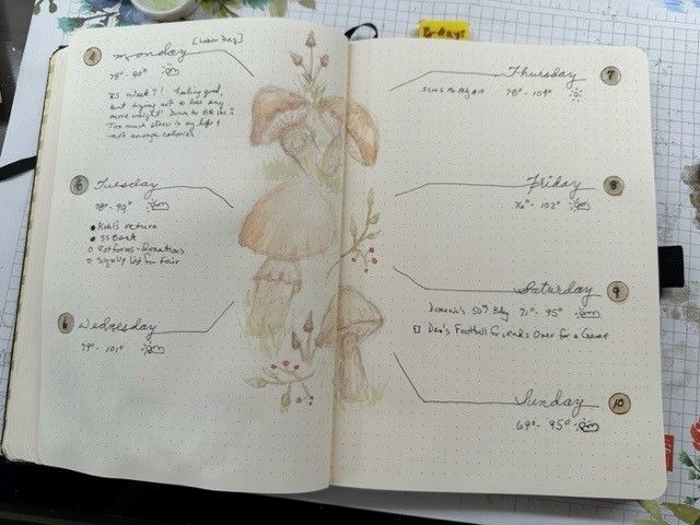 My first weekly page.
