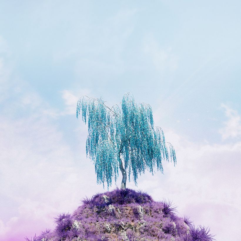 Top 5 Secrets to Creating Immersive Surreal Worlds in 3D 5