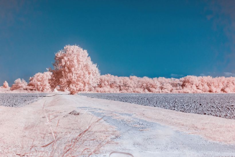 Canon 600D modificata + filtro 720nm