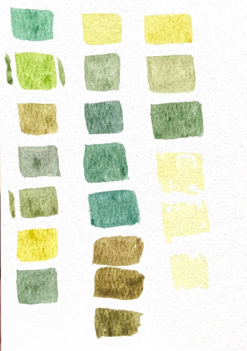 My project for course: Realistic Botanical Watercolor Drawing 2