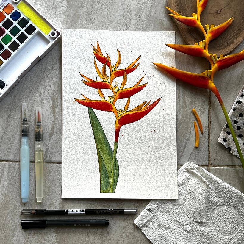 My project for course: Botanical Sketchbooking: A Meditative Approach 7