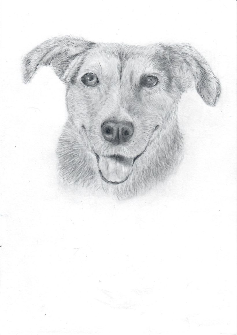 My project for course: Naturalistic Animal Drawing with Graphite Pencil 6