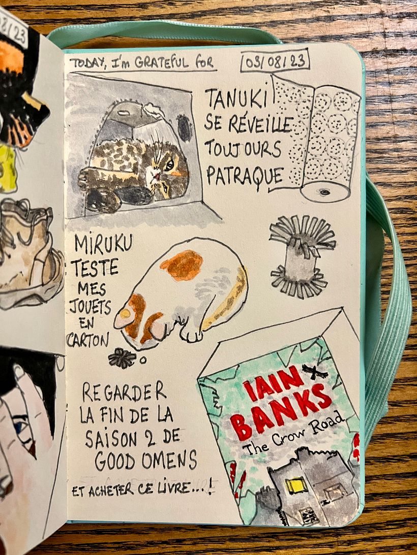Some kitten began feeling better, I made cardboard toys for them and started a nwe book after finishing Good Omens season 2