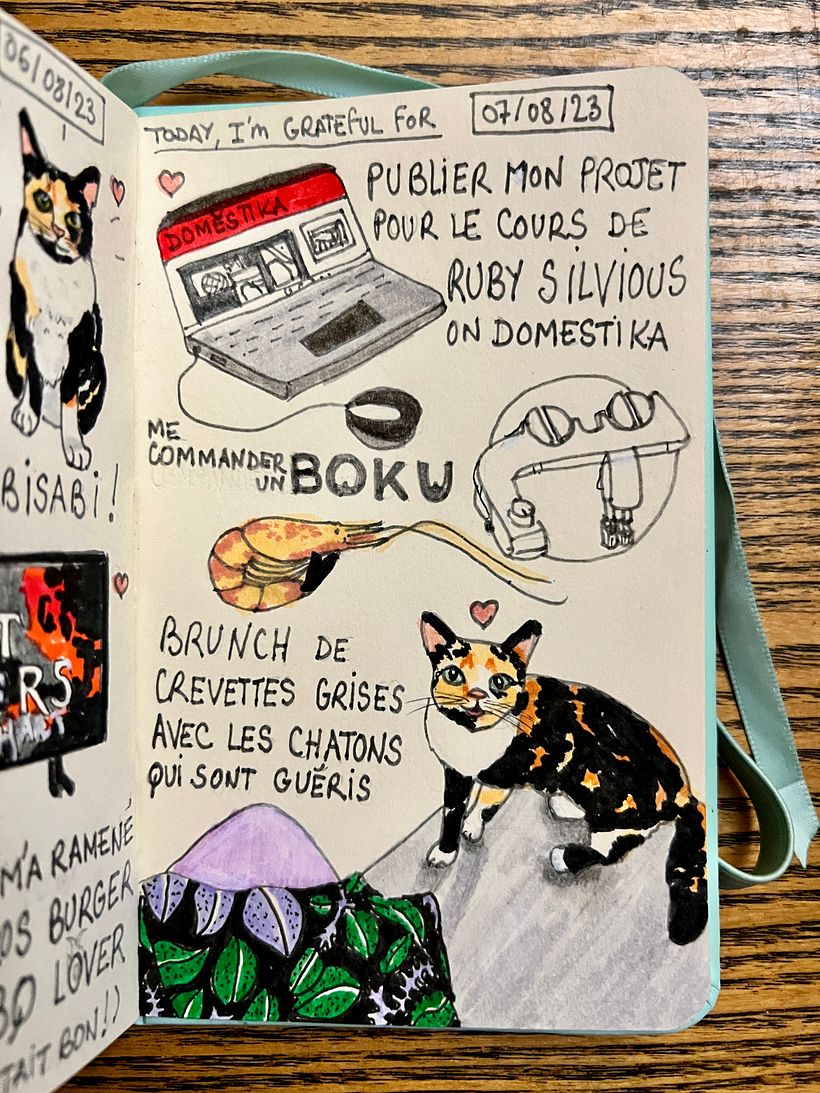 I published my project for Ruby Silvious course, the kittens were all better so we shared shrimps, I ordered Japanese bidet !