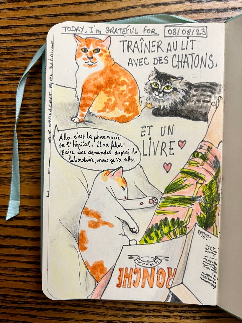 I chilled with the kittens all day, reading deceased friend latest book, got a phone call from the hospital for new treatment