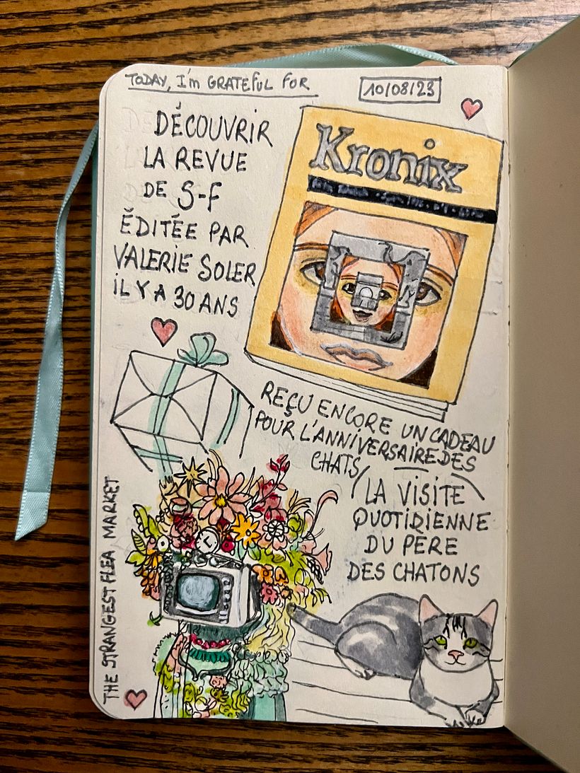 I got another wonderful gift from this friend : a sci-fi magazine she created 30 years ago ! The kittens father showed up 