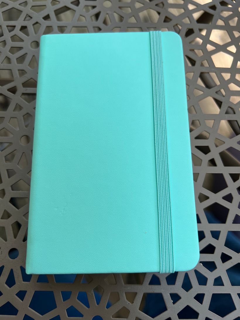 It feels nice and clean and full of promise to begin a new sketchbook... Carnet de gratitude N°5 !