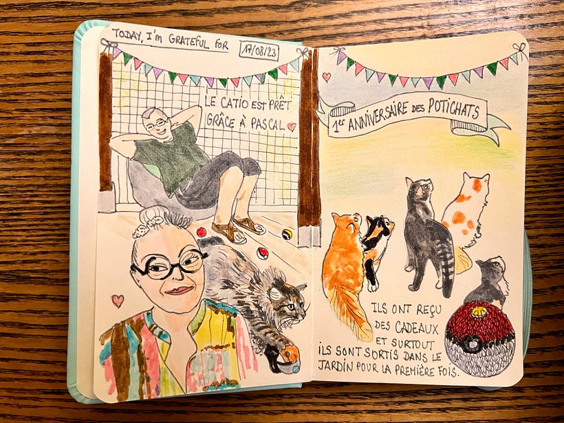 It was the kittens birthday ! Now that they are 1 year old, we call them Potichats and not kittens. They saw the catio...