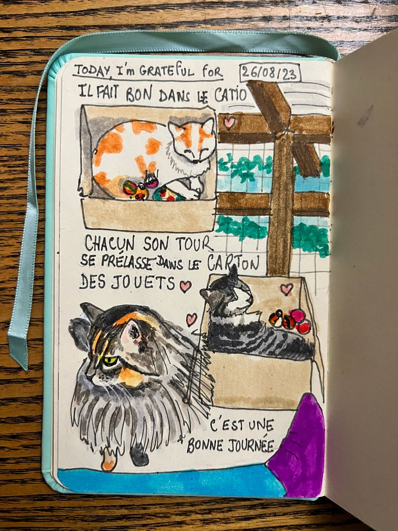 Another nice day in the catio with the Potichats, they enjoy it so much they spend all their time there !