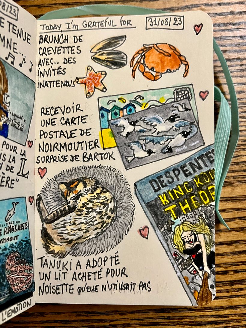 We had shrimps that weren't alone in their package, I got a postcard from Noirmoutier, read King Kong Theorie, a good book.