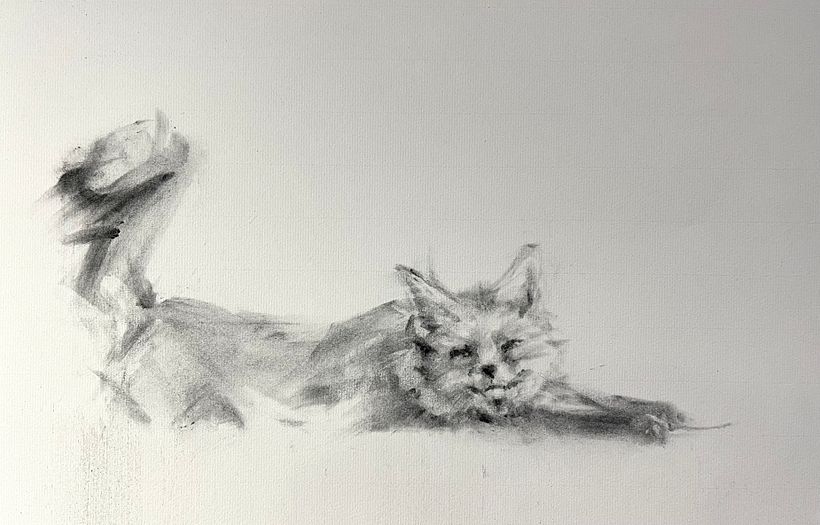 Second layer: expression of light and dark (adding and erasing)