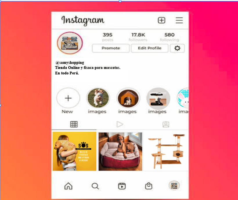 Instagram de la tienda.