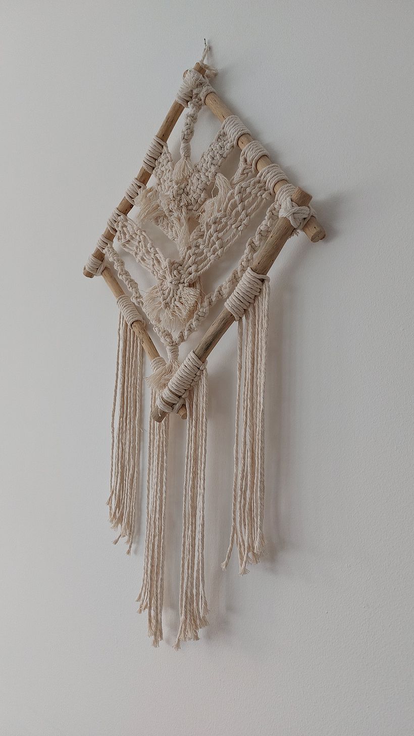 Projeto do curso: Introdução à tapeçaria em macramé 3