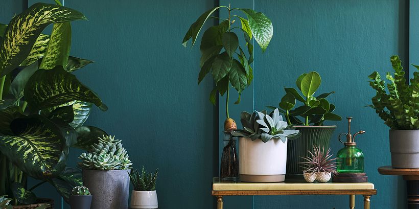 Cómo decorar un jardín: 12 ideas inspiradoras 6