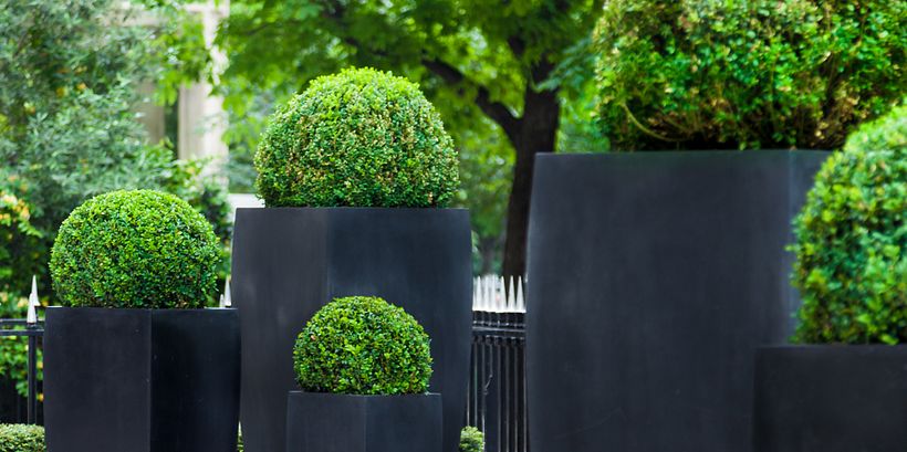 Cómo decorar un jardín: 12 ideas inspiradoras 12
