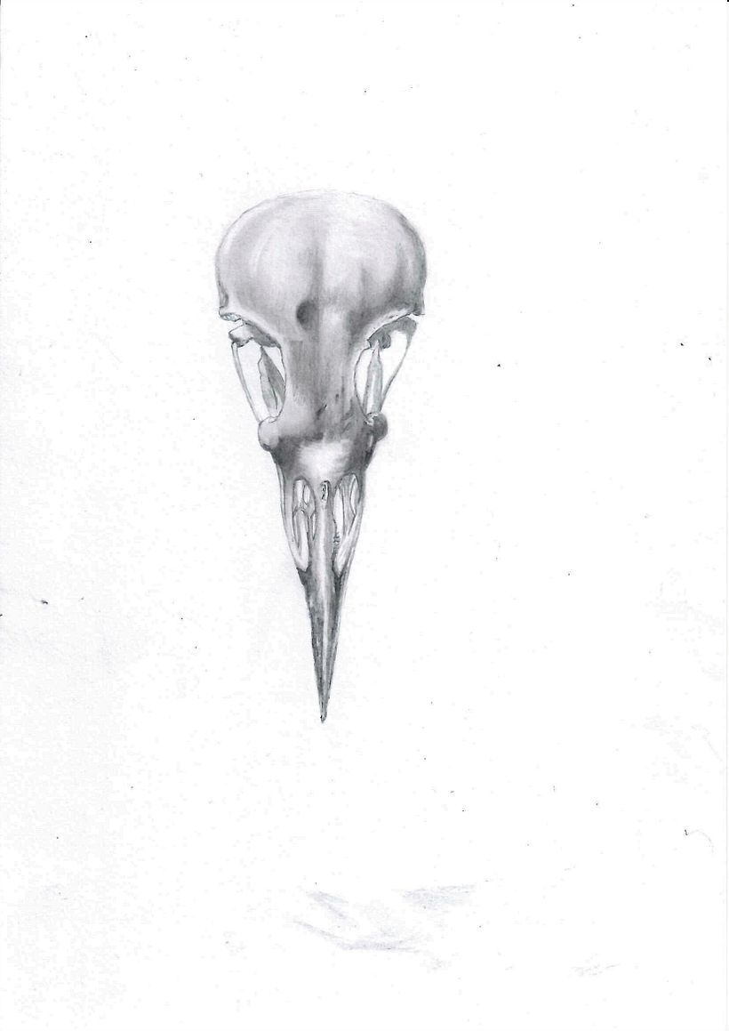 My project for course: Intro to Anatomy Drawing with Graphite Pencil 1