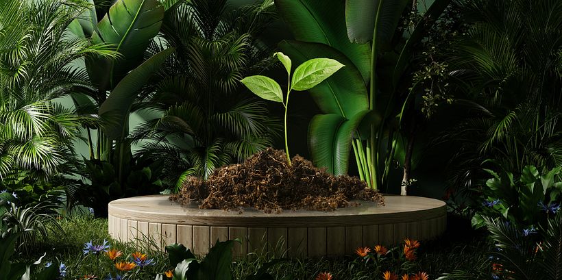 How to Decorate a Garden: 12 Inspiring Ideas 3