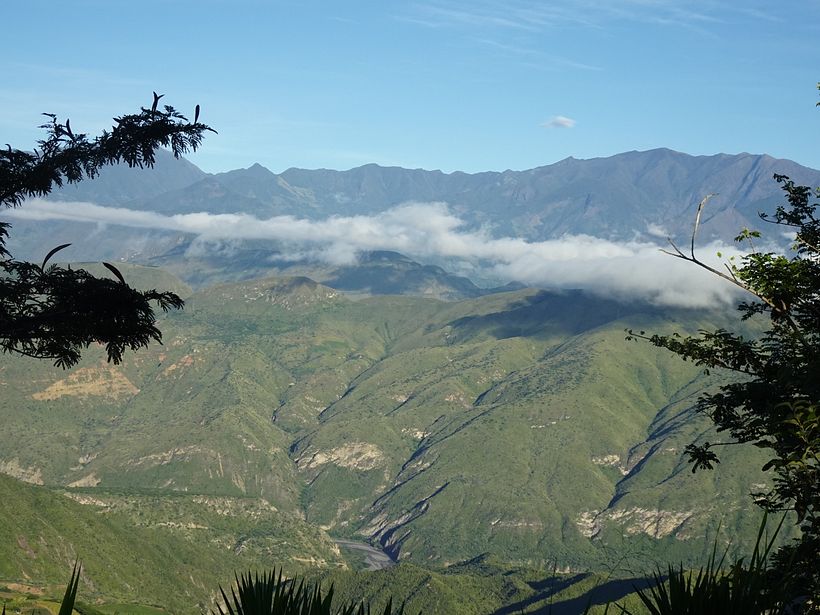 Niebla 4