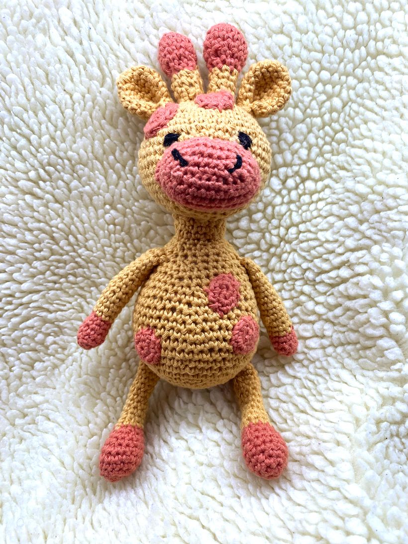 First attempt at amigurumi animal -Lots to practice