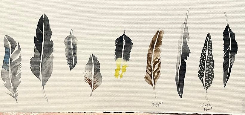 Feathers and Bird