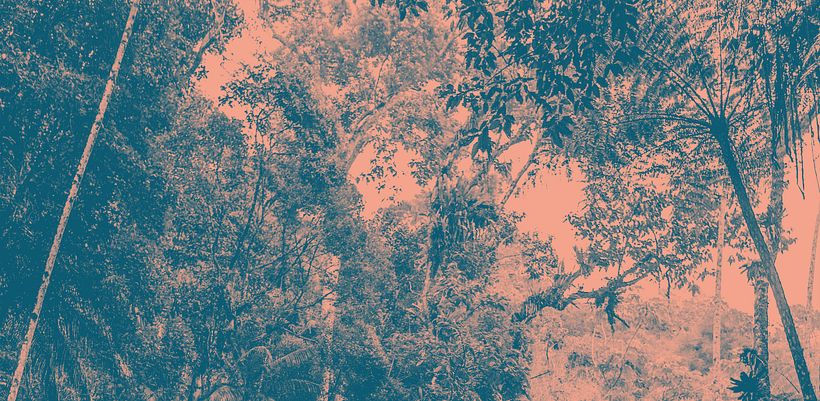 Urban Jungle 4