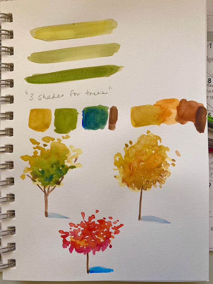 Trees practice