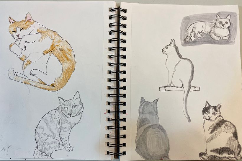 My project for course: Sketchbook Exercises for Artistic Growth 3