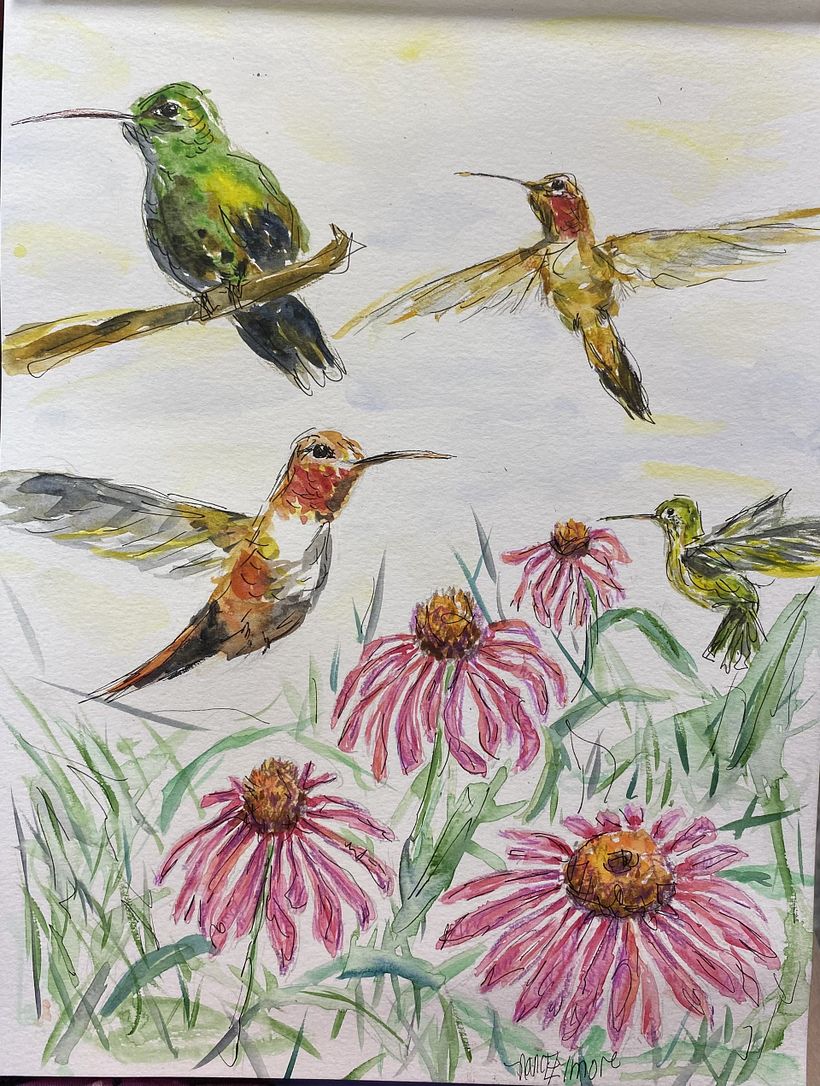Hummingbirds with purple coneflowers