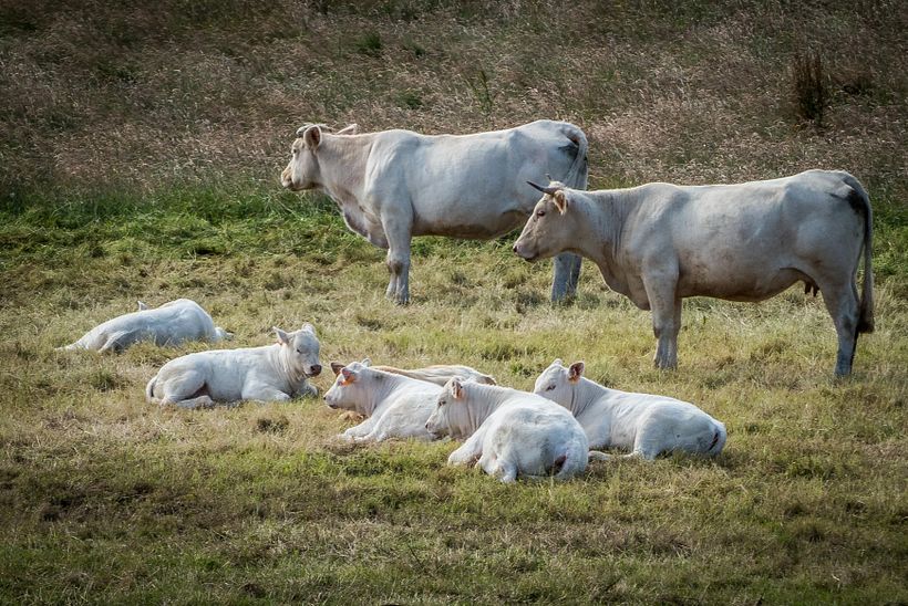 Evolution Photographique 2