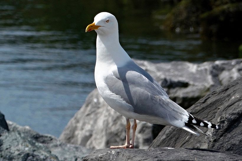 Evolution Photographique 12