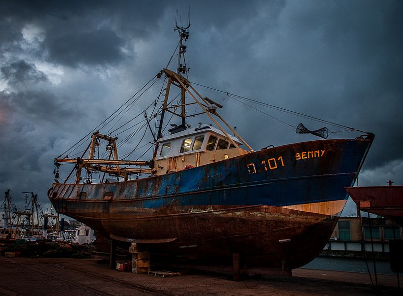 Evolution Photographique 15